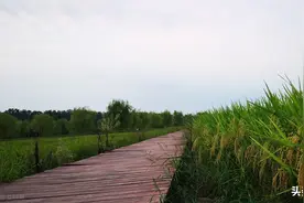 现在的村干部是什么样子？来听听孟津区白鹤镇铁谢村的老百姓如何评价图片