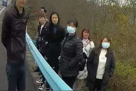 高速上跑出一只狗，驾驶员变道酿事故……图片