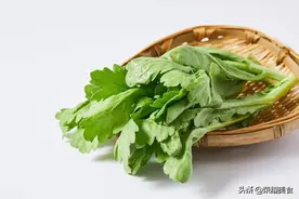 买茼蒿菜时，注意分清“小叶”和“大叶”，区别挺大，来了解一下图片