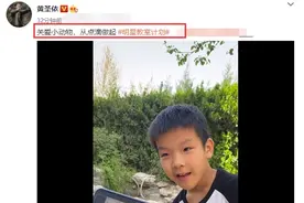 黄圣依儿子8岁安迪的全英文报告获赞，见过世面的孩子真的不一样图片