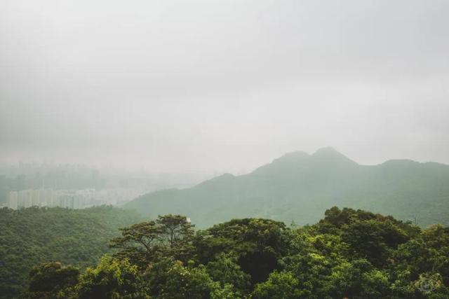 深圳值得征服的10座山，你去过几座？