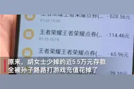 孙子玩王者荣耀，骗光奶奶5万积蓄：谁该为此买单？图片