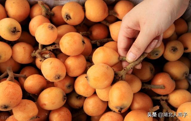 小满以后，要多吃这5菜3果2茶，营养价值极高，价格还便宜