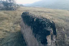 从临洮的战国秦长城说起图片