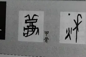 每日一字----秋图片