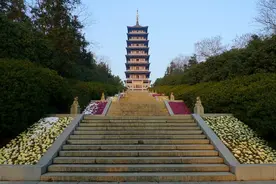 无锡有座森林公园，投资3亿却门票免费，有望晋升5A景区图片
