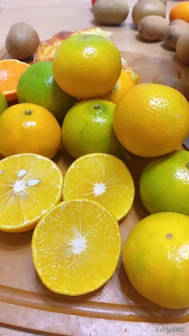 (原创)32种橘橙柚大集合之二,喜欢哪个快来看看哦