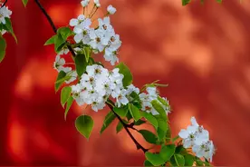 放下了，就不会回头的星座，真正的离开，是沉默，是不再联系图片