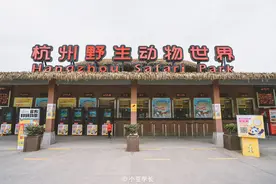 杭州动物园亲子游攻略，周末遛娃必打卡，一下午见百种动物图片