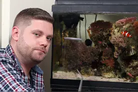 鱼缸出现陌生蜗牛，英国男子没动手，而是先上网查，幸运逃过一劫图片