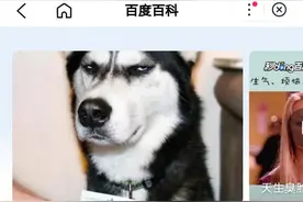 “臭脸综合征”你听说过吗图片