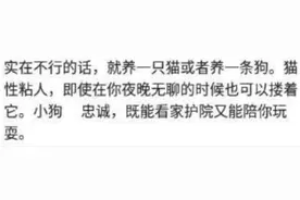 一个人的夜晚感觉孤独寂寞怎么办？网友：点了个外卖图片