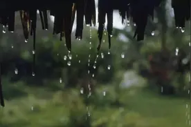 雨中的思念图片