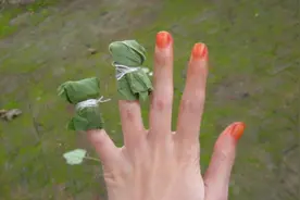 凤仙花：天然的染色剂，儿时用它染指甲，好看又防蛇，栽种要当心图片