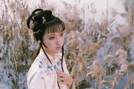 《红楼梦》：从黛玉的待遇，看贾家的人情世故图片