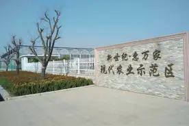 智能温室大棚除了种菜还能够做什么？该如何做图片