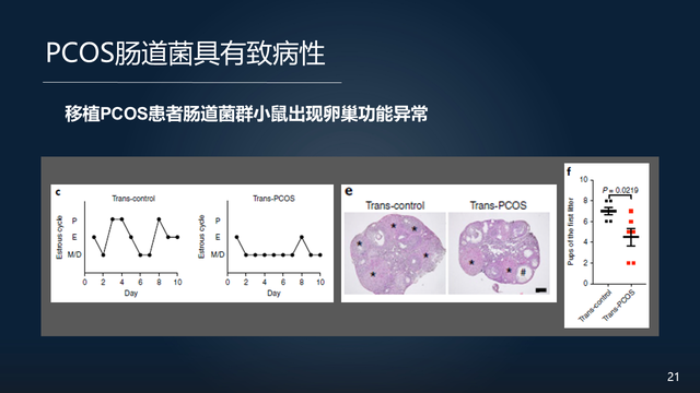庞艳莉：22分钟详解肠道菌群与代谢疾病