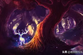 1080p黑暗森林，黑暗魔法壁纸图片