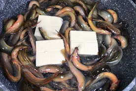 “泥鳅钻豆腐”究竟是不是真的？实拍做法全过程，总算真相大白了视频封面