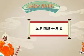 秋天的第一只螃蟹，你吃了吗？图片