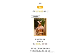 #动物世界#繁衍#生孩子的100种姿势，涨涨知识图片