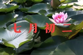 今天七月初二，俗语“不怕初一下，就怕初二阴”，为什么怕？图片