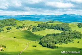 暑假去哪玩？六月草原美如画！乌兰布统实时景色播报，鲜花遍地开图片