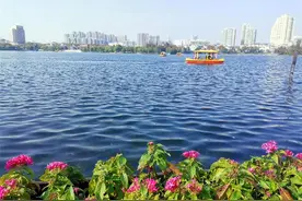 金陵第一名胜莫愁湖：寒冬中的儿童乐园、荷花园图片