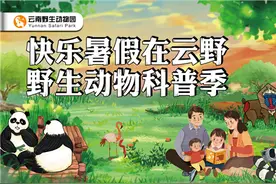 云南野生动物园“野生动物科普节”来袭 趣味玩法不停歇图片