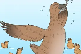 等等我，我来了（漫画）图片