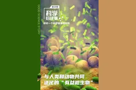科学好故事 | 与人类和动物共同进化的“有益微生物”图片