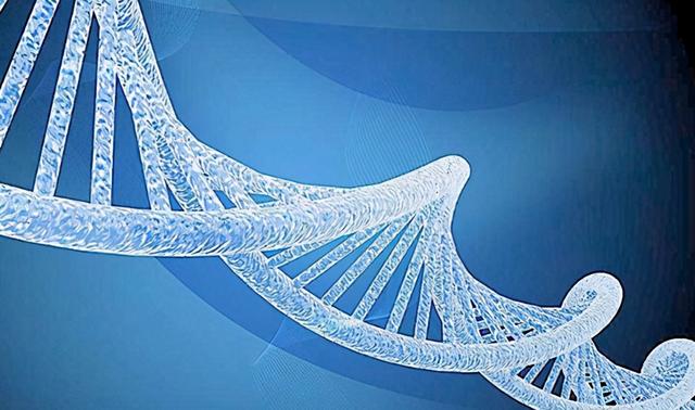 毛周角化正有没有遗传