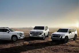 ​全新陆巡它来了！“心”有猛虎 细嗅蔷薇图片