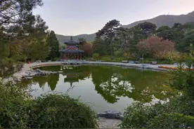 登上香山走不寻常的路，一路风景不断，拜访红色遗迹图片