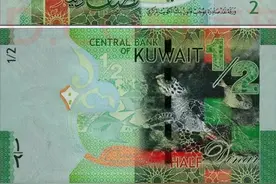 世界最贵货币——科威特第纳尔图片