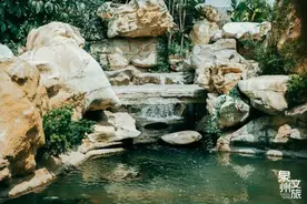 福建这场雨，带你认识最美下雨天图片