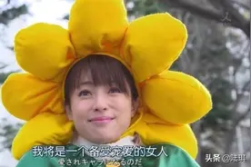 “努力这件事，在爱情上真的有用吗？”：不试试怎么知道呢图片