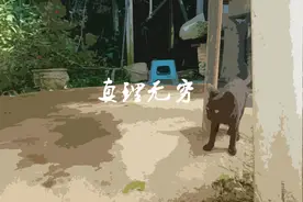 真理无穷，请永远不要停止思考图片