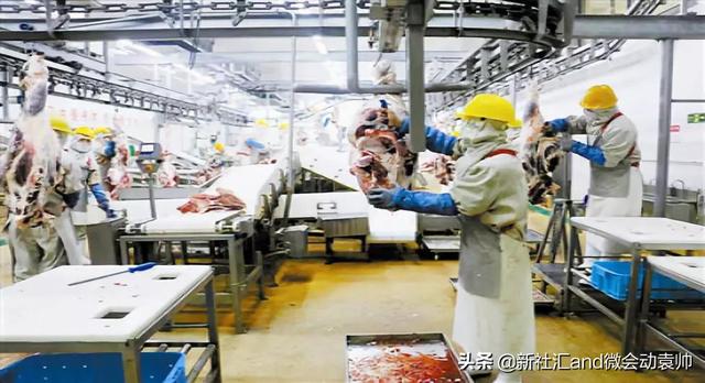 牛票讯息：70年破茧蝶变，通辽以现代农牧业构筑内蒙“粮仓肉库”