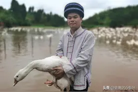 深耕信息化助农 "芒果扶贫云超市"麻阳在行动图片