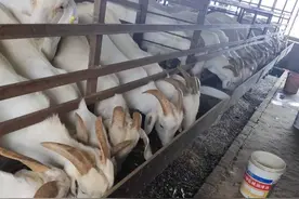 2021年农村贫困户有什么补贴吗？可以领取什么礼品呢？图片