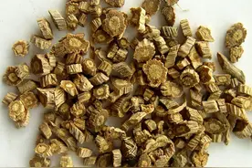 那些中药中常用的固涩止汗药方图片