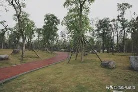 周末去哪儿丨新都也有新鲜的玩法，约吗？图片