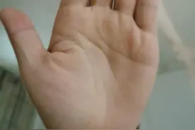 川字掌的女人，都说是没有父母缘生活中需要独立自强图片