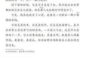 四年级下册语文第14课《母鸡》图文详解及同步练习图片