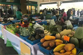 双11，这些交“智商税”的东西，再划算也别买图片