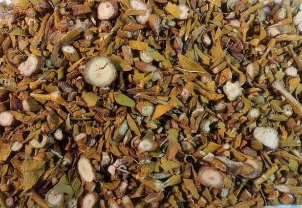 桑寄生的功效与作用（本草精荟祛风湿补肝肾桑寄生的功效与应用）