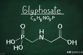 草甘膦别乱用！只有了解药害发生的原因，才能避免造成损失图片