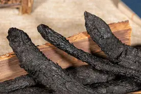 内行人告诉你简单有效区分肉苁蓉品质好坏的方法。1分钟学会图片