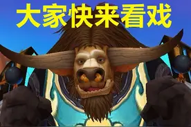 关于魔兽怀旧服，团长、排骨、玩家的心得图片